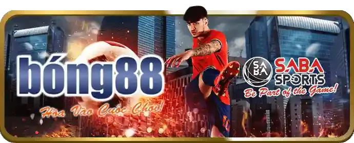 Tổng quan về chiến lược cá cược hiệu quả tại mcw88